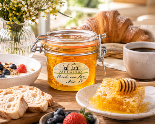 Honeycomb honey 100% Italian Organic 300g Honeycomb honey 100 Italian Organic 300g